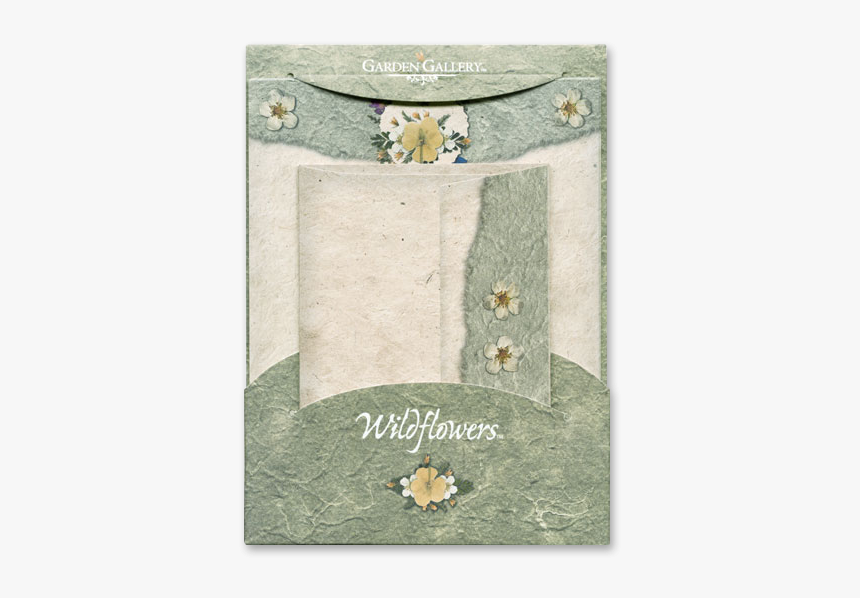 Potentilla And Buttercup Wildflower Premium Stationery - Creative Arts, HD Png Download, Free Download