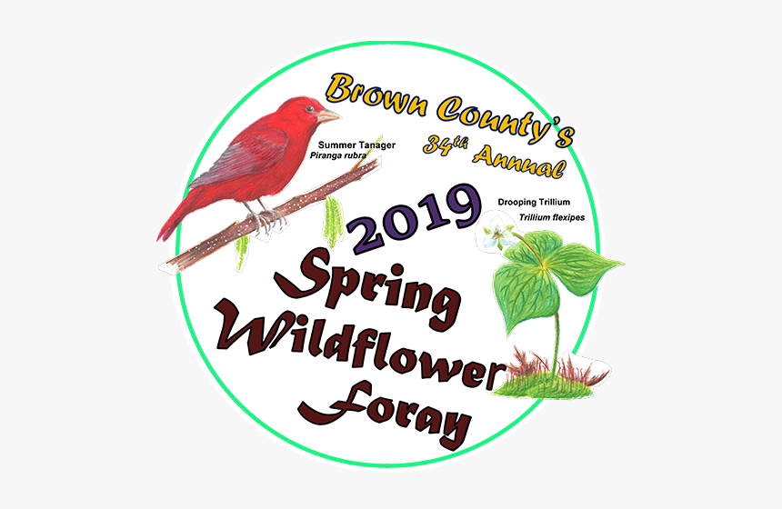 Bird, HD Png Download, Free Download