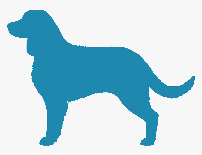 Water City Kennel - Golden Retriever, HD Png Download, Free Download
