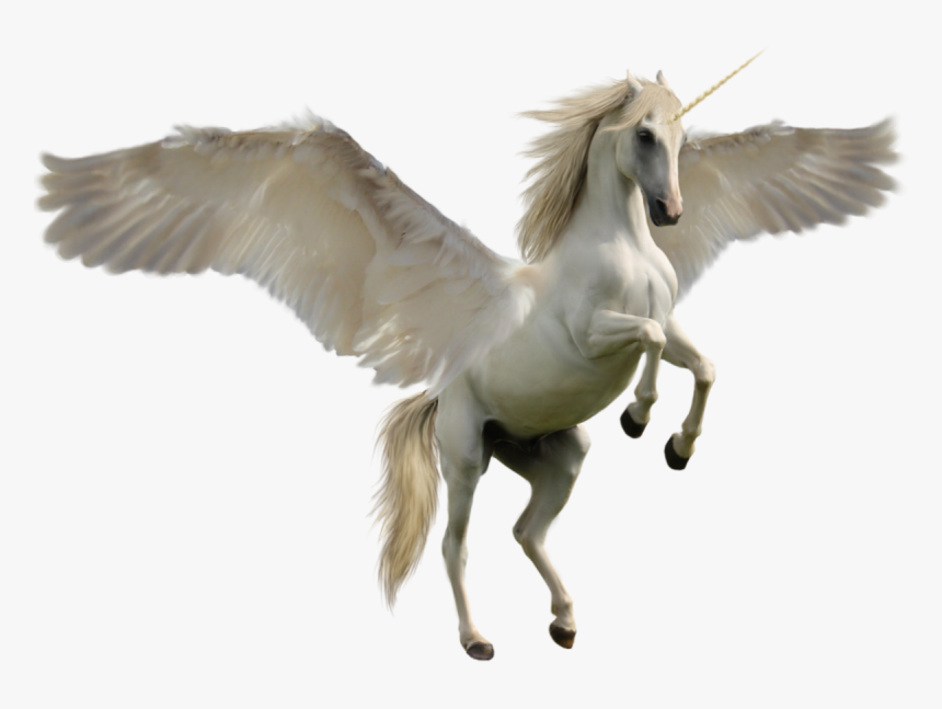 The Wings Of The White Horse - Unicorn Horse, HD Png Download, Free Download