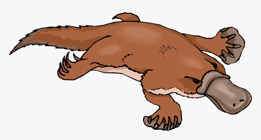 Platypus Free Clipart Free Clip Art Images - Duck Billed Platypus Clipart, HD Png Download, Free Download