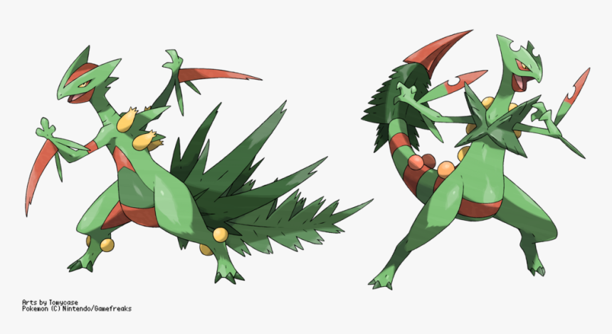 Blaziken Coloring Pages - Sceptile Mega Evolution, HD Png Download, Free Download