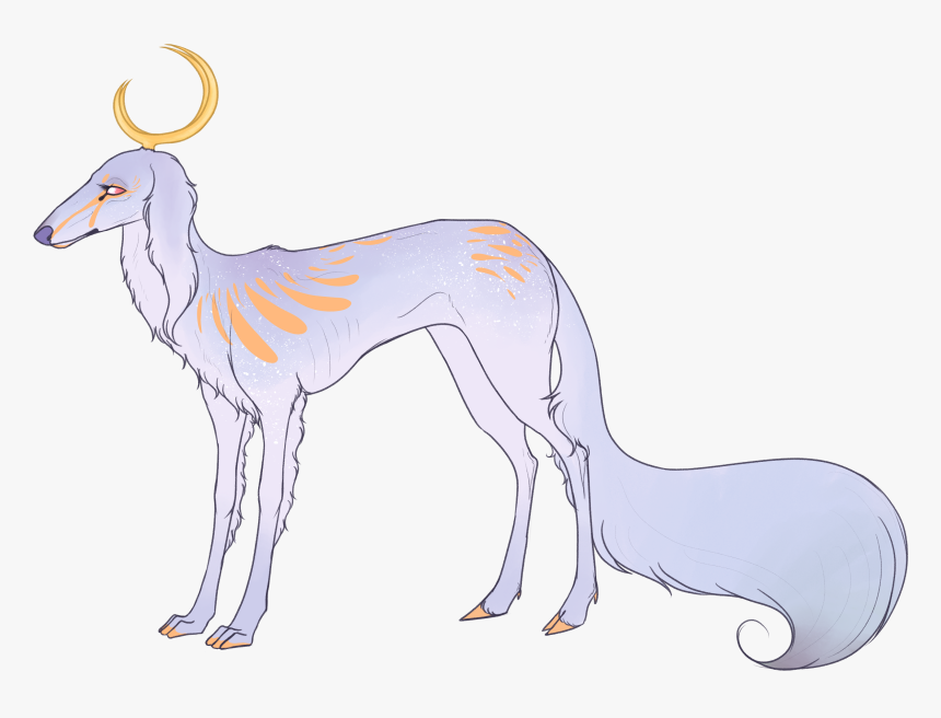 Saluki, HD Png Download, Free Download