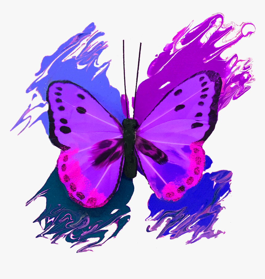 Brush-footed Butterfly, HD Png Download, Free Download