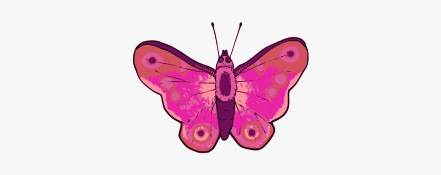 Vector Illustration Of Pink And Purple Butterfly - Butterfly Vector Mariposas Rosa Borboleta Butterfly, HD Png Download, Free Download