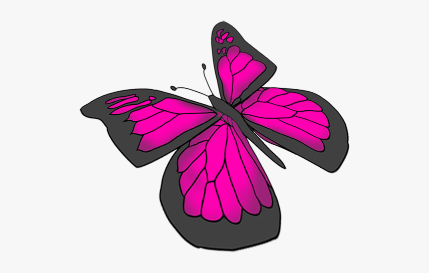 Purple Butterfly Drawing - Beautiful Butterfly Pics Drawing, HD Png Download, Free Download