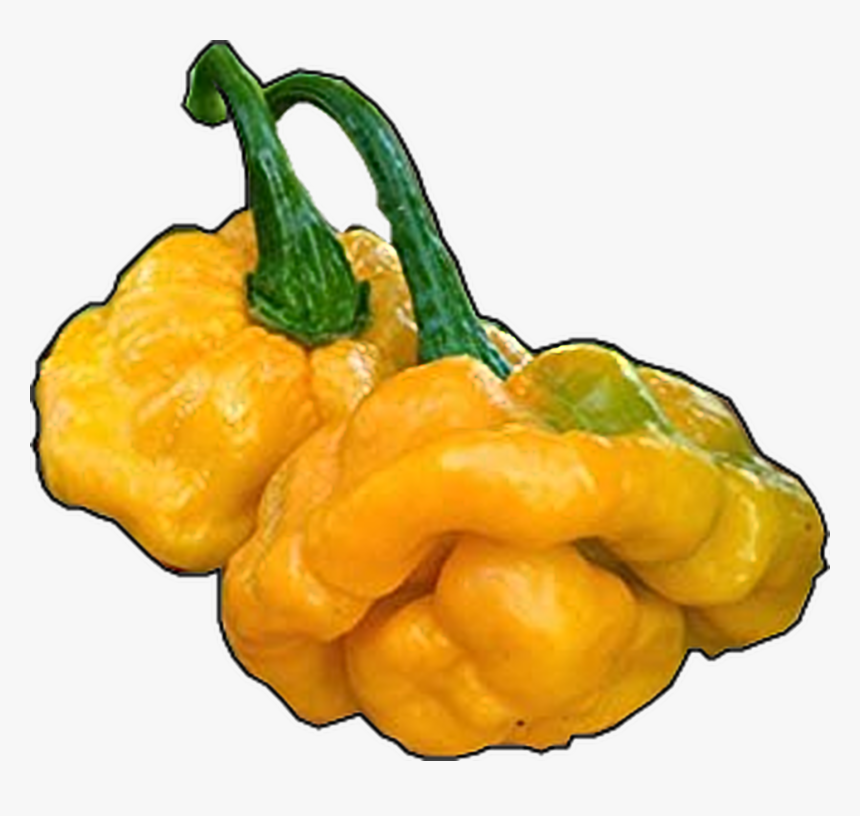 Hot Pepper Png, Transparent Png, Free Download