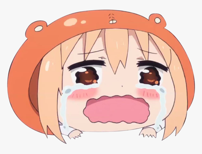 View Samegoogleiqdbsaucenao Umaru , - Himouto Umaru Chan Crying, HD Png Download, Free Download