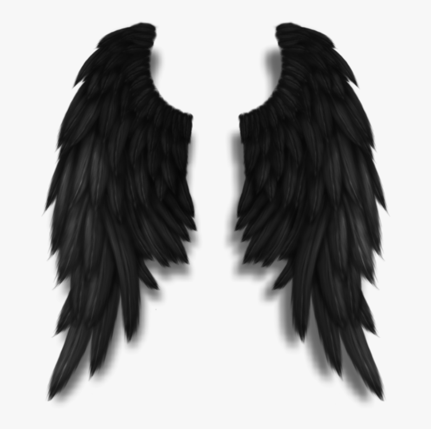 Darkangel Angelwings Angels Angel Wings Feathers Fly - Buy Black Angel Wings, HD Png Download, Free Download