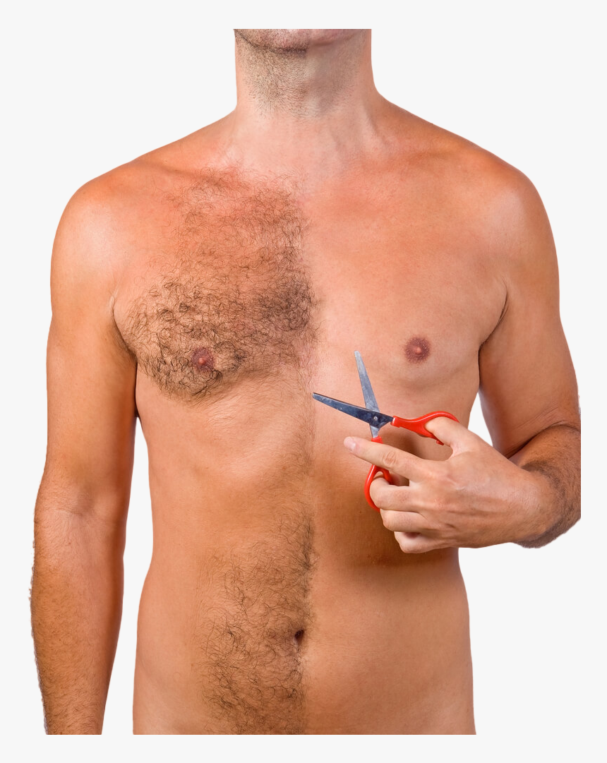 Body Hair Transplant In India - Hairs On Abdominal And Chest Regions, HD Png Download, Free Download