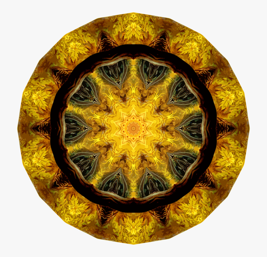 Circle,organism,symmetry - Circle, HD Png Download, Free Download