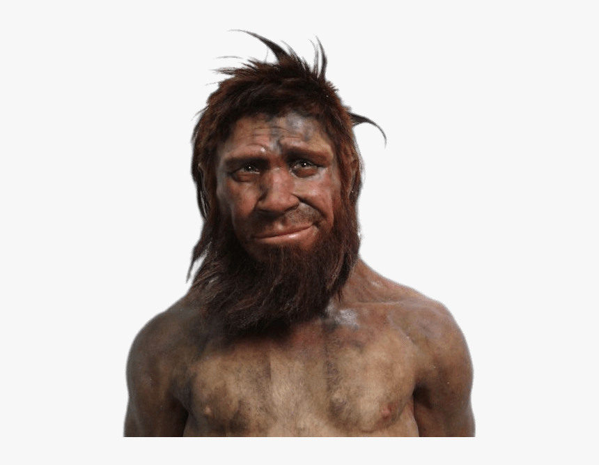 Grinning Caveman - Neanderthal Hot, HD Png Download, Free Download