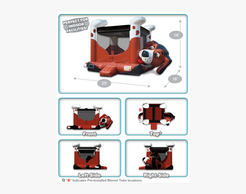 Beagle Belly Bouncer, HD Png Download, Free Download