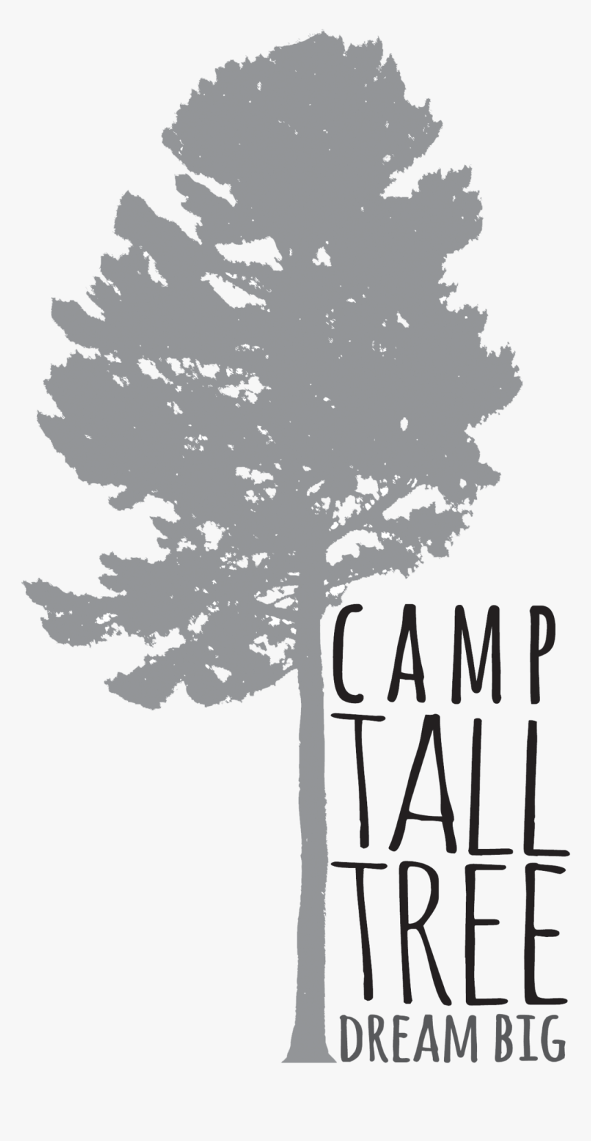 Camp Tall Tree Logo, HD Png Download, Free Download