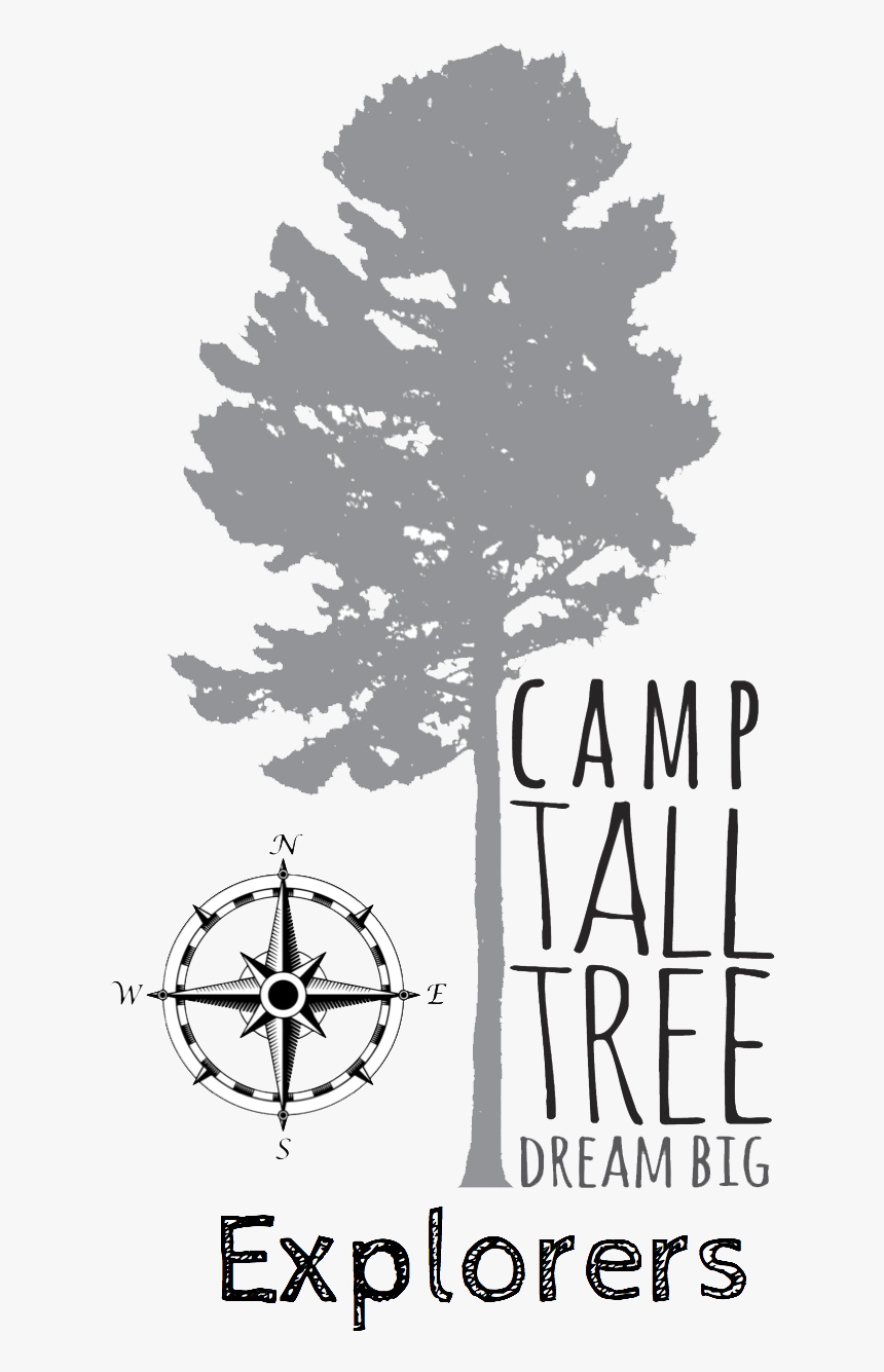 Tall Tree Png, Transparent Png, Free Download