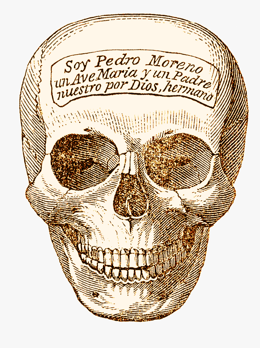 Skull Sepia Grunge Free Picture - Vintage Skull Transparent Png, Png Download, Free Download