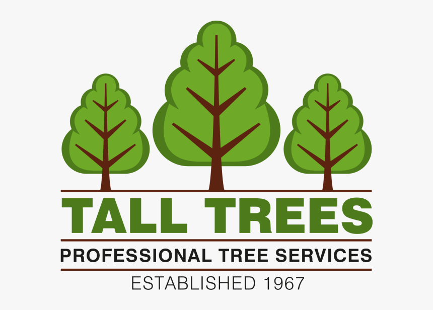 Tall Trees Professional Tree Services Logo - Cartridge World Business Customer, HD Png Download, Free Download