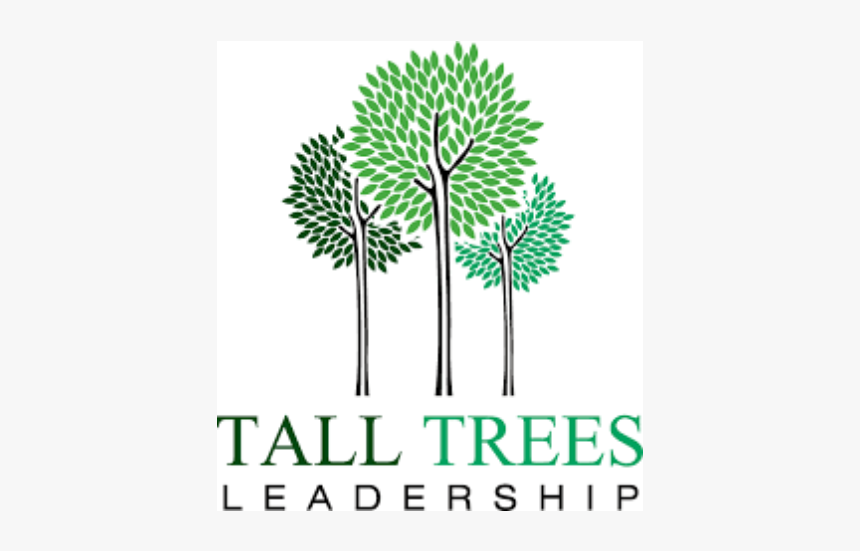 Talltrees - Illustration, HD Png Download, Free Download