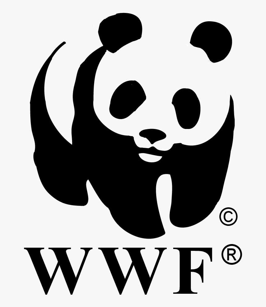 World Wildlife Foundation Logo, HD Png Download, Free Download