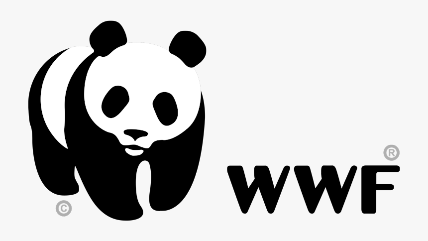 Wwf Logo Png, Transparent Png, Free Download