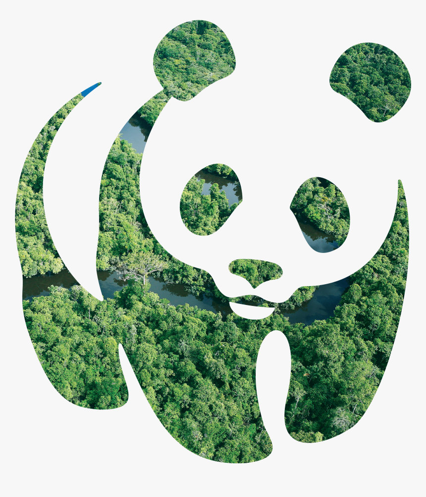 World Wildlife Philippines Logo, Png Download -