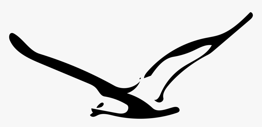 Line Art,monochrome Photography,silhouette - Seagull Line Art, HD Png Download, Free Download