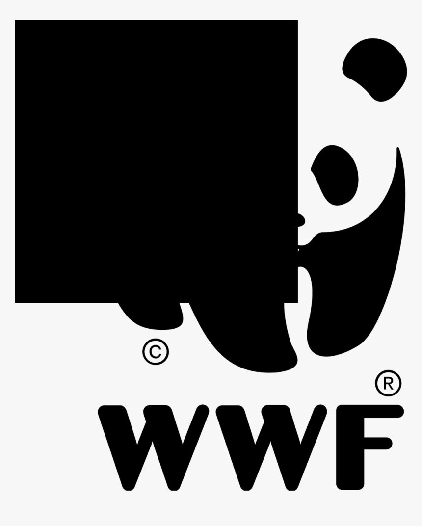 Wwf Logo, HD Png Download, Free Download