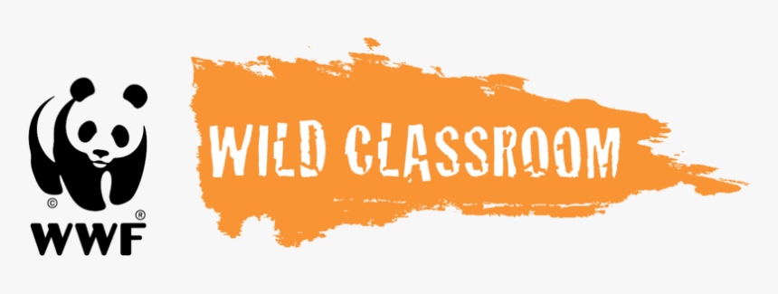 Wild Life Font Free, HD Png Download, Free Download