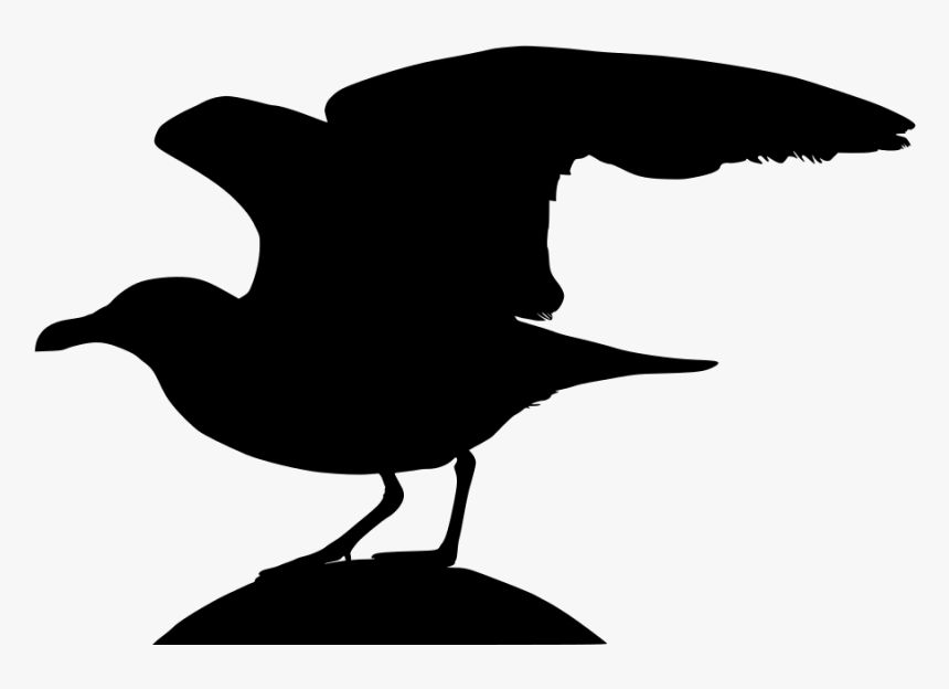 Transparent Seagull Silhouette Png - Seabird, Png Download, Free Download