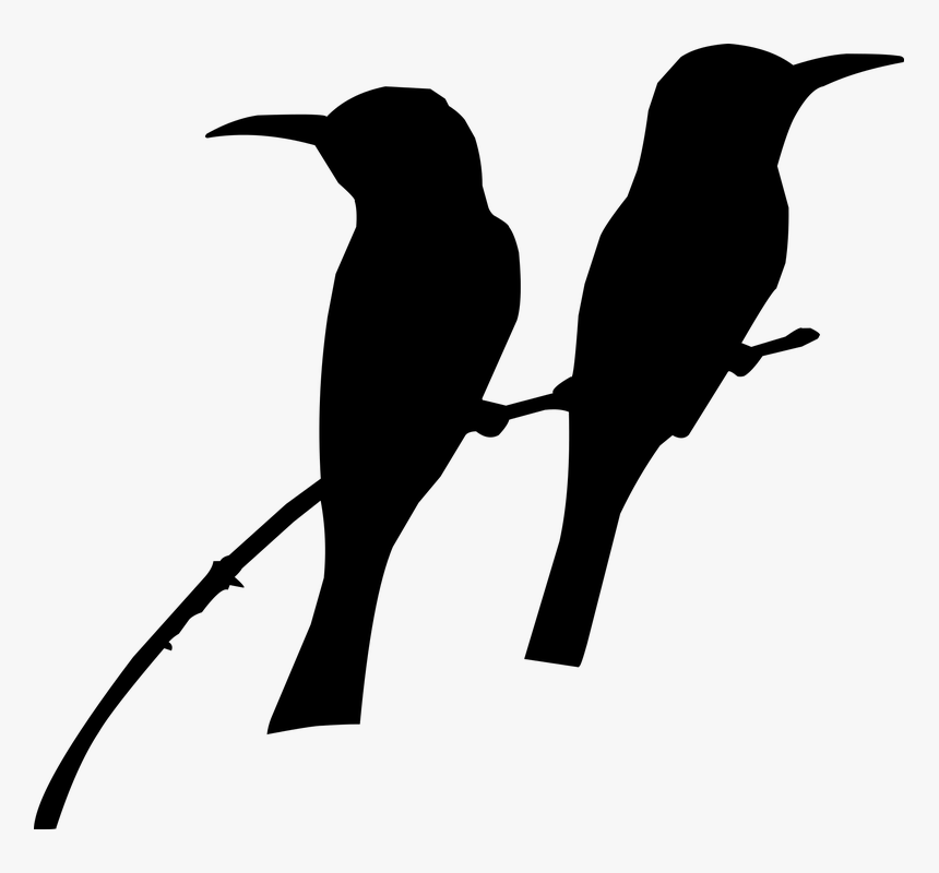Silhouette, Bird, On The Tree, Tow Bird"s, Nature - Silhouette Birds On A Tree, HD Png Download, Free Download