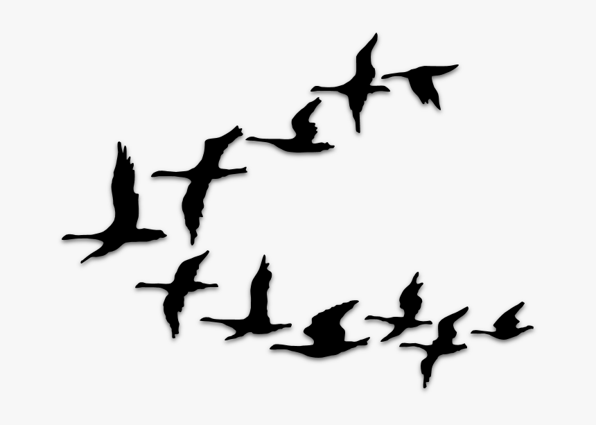 Cartoon Flying Birds Png, Transparent Png, Free Download