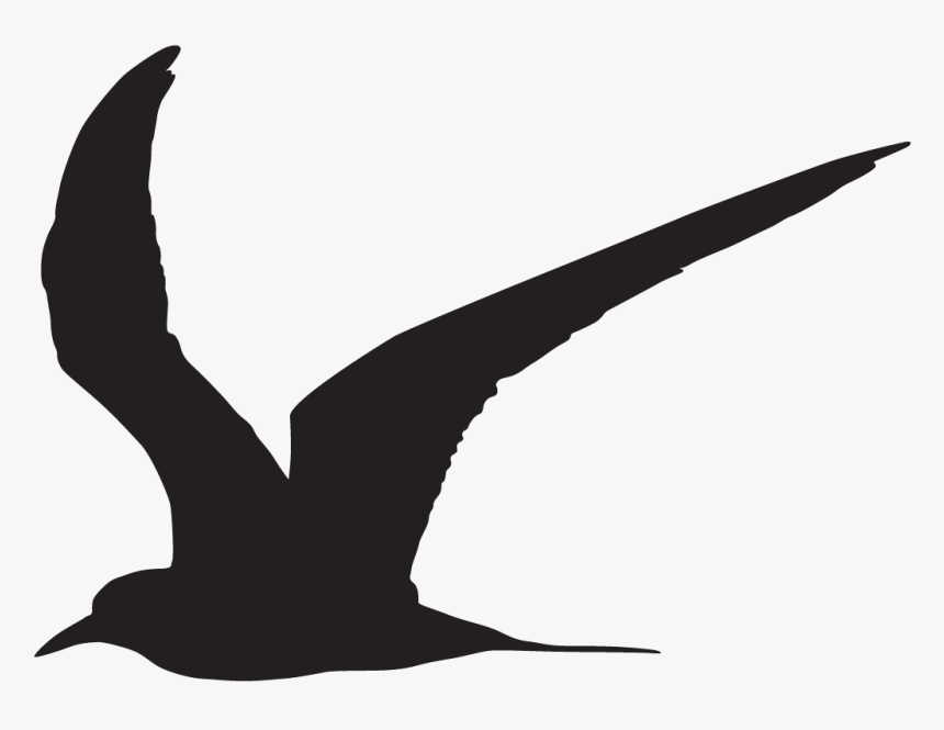 Arctic Tern Silhouette, HD Png Download, Free Download