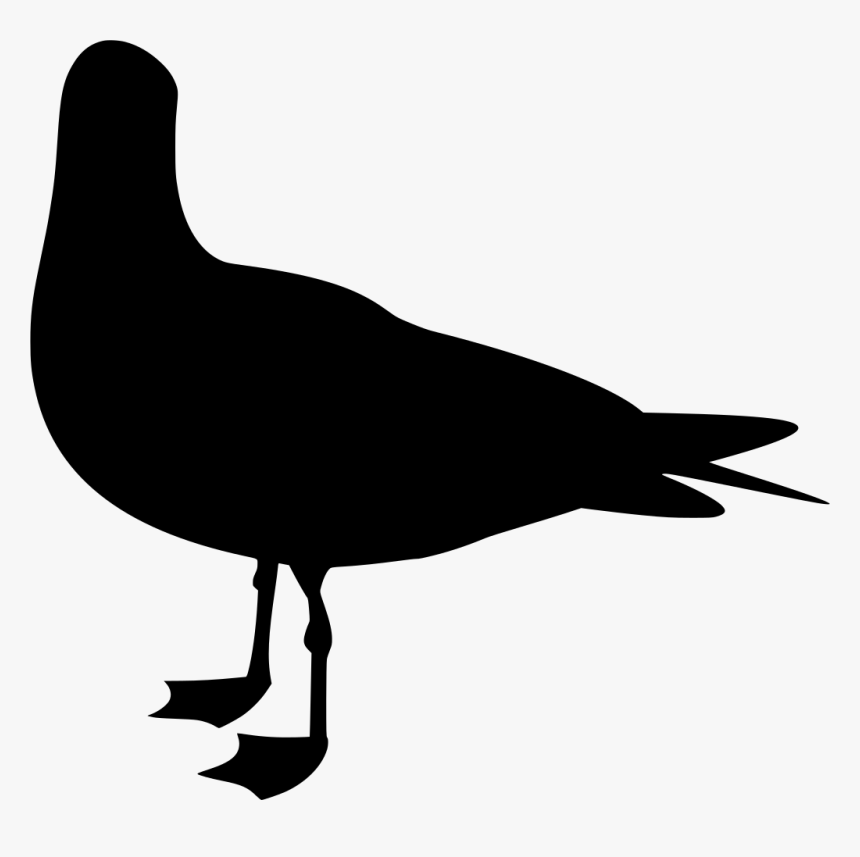 Seagull Silhouette, HD Png Download, Free Download
