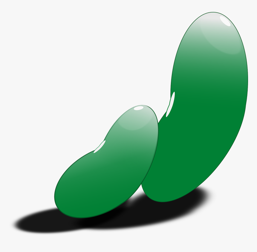 Green Bean Seed Clipart, HD Png Download, Free Download