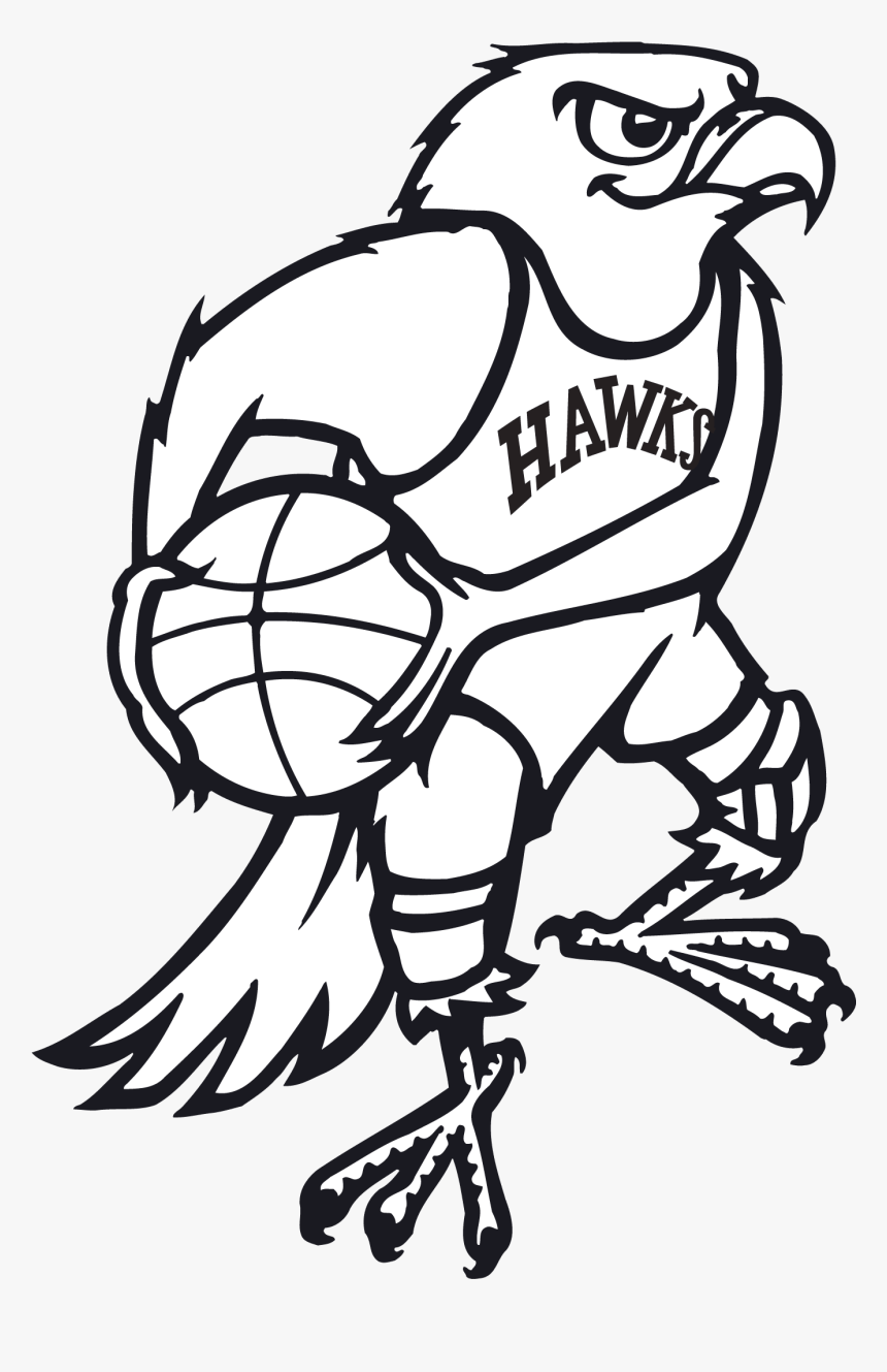 Drawing Hawks, HD Png Download, Free Download