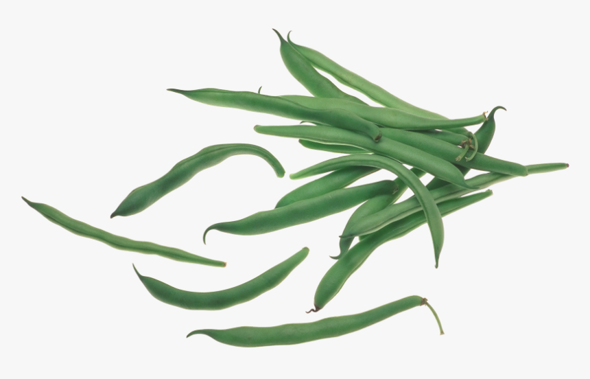 Transparent Bean Png - Green Bean, Png Download, Free Download