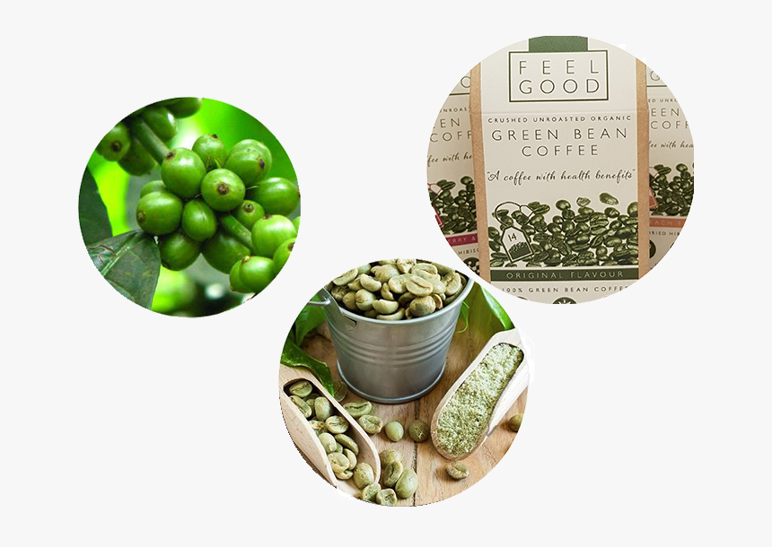 Green Bean Coffee From Tree To Packaging Picture - Green Coffee Ke Fayde, HD Png Download, Free Download