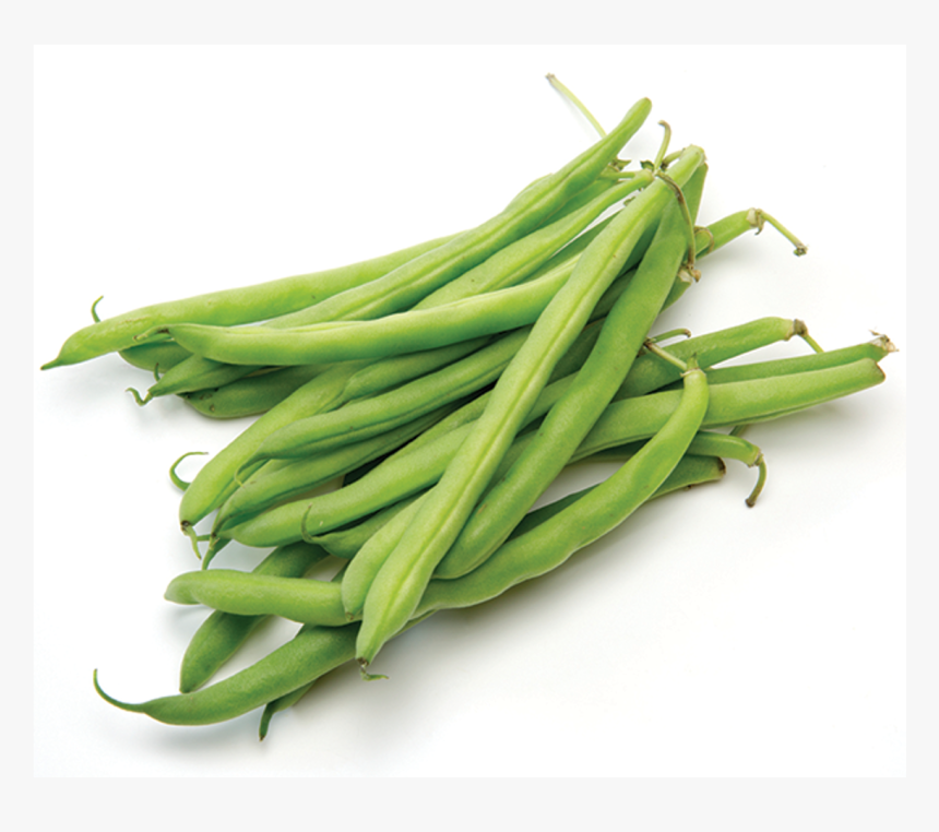 Baguio Beans In Benefits, HD Png Download, Free Download