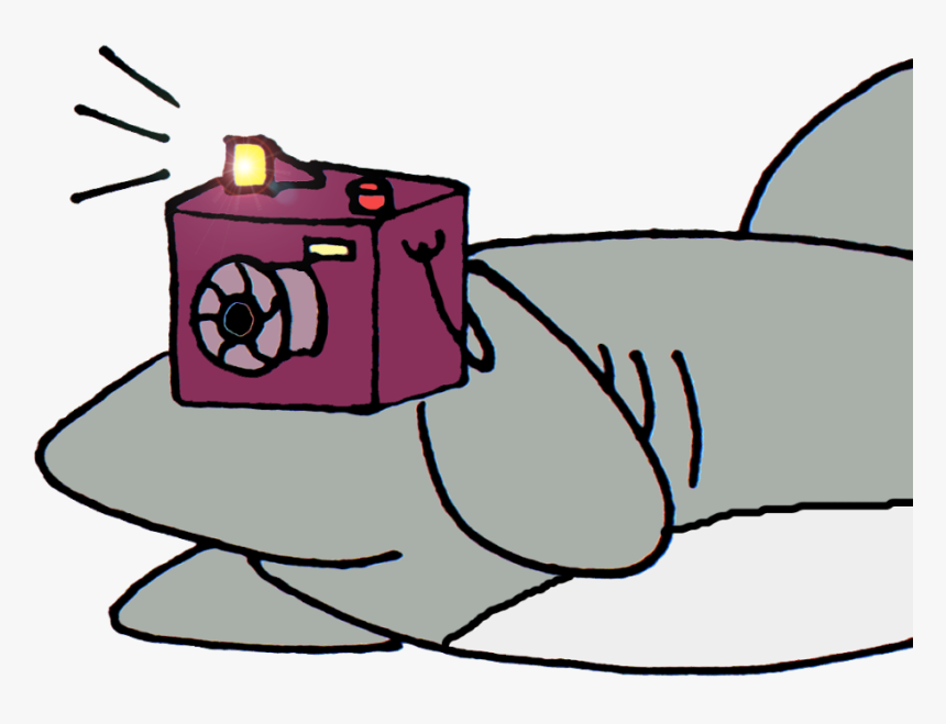 Shark With Camera Cartoon , Png Download - Shark With Camera Clipart, Transparent Png, Free Download