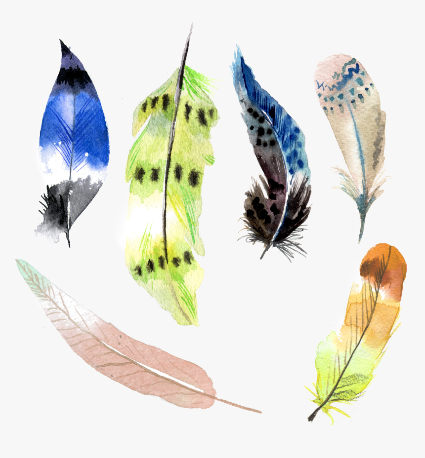 Transparent Peacock Wings Png, Png Download, Free Download