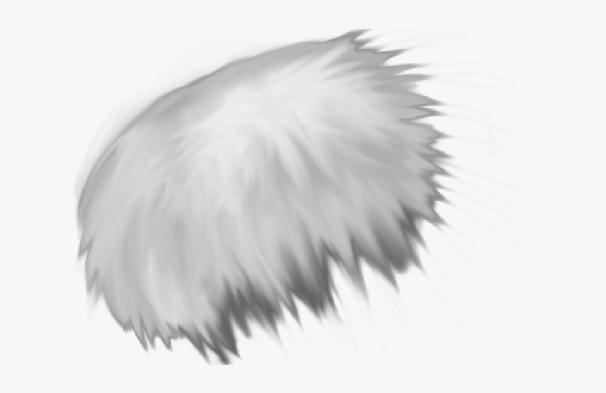 Clip Art Feather Texture - Fur Texture Transparent Background, HD Png Download, Free Download