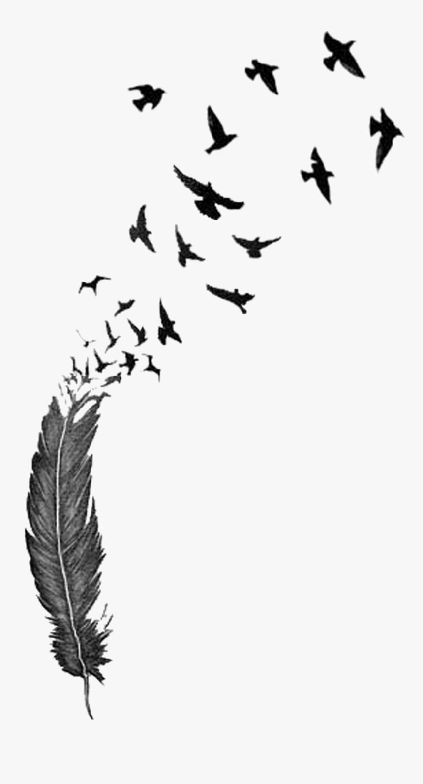 Bird Feather Tattoo Drawing Clip Art - Flying Birds Tattoo Designs, HD Png Download, Free Download