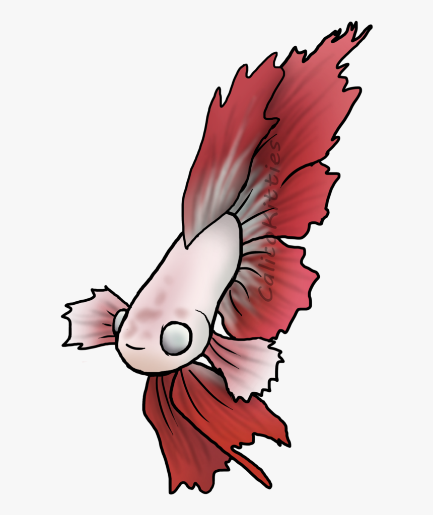 Clipart Transparent Download Betta Drawing Feather - Illustration, HD Png Download, Free Download