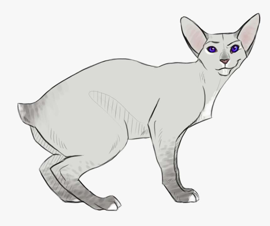 Transparent Dobby Png - Minskin, Png Download, Free Download