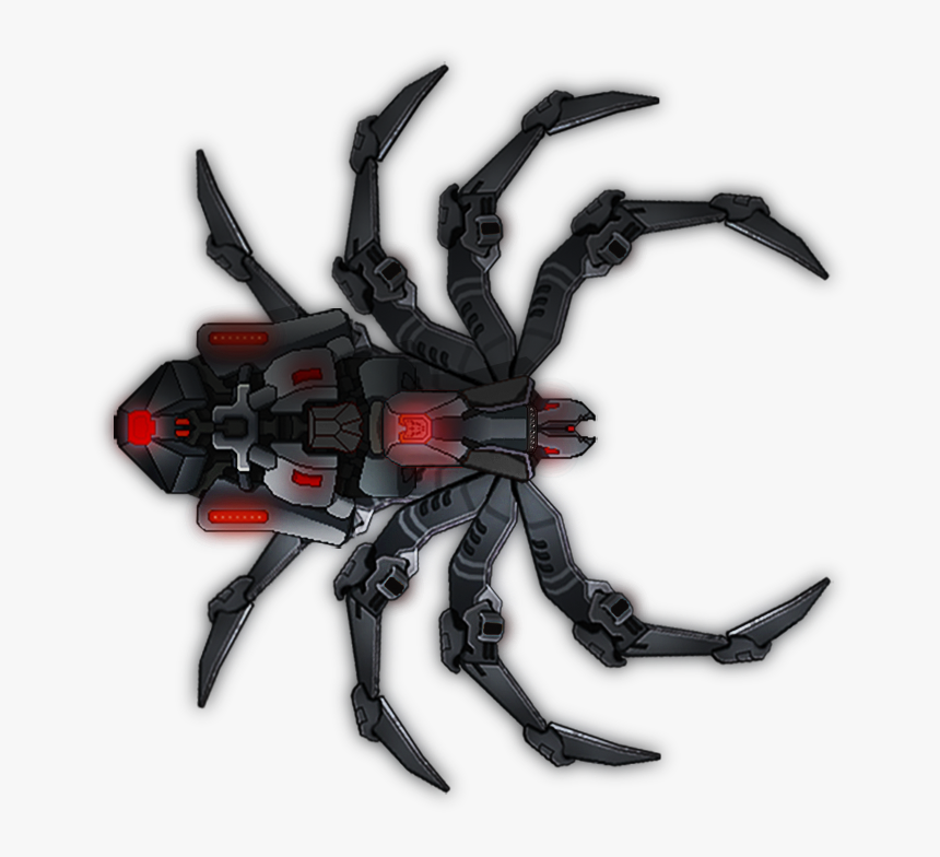 Black Widow Tarantula Spider, HD Png Download, Free Download