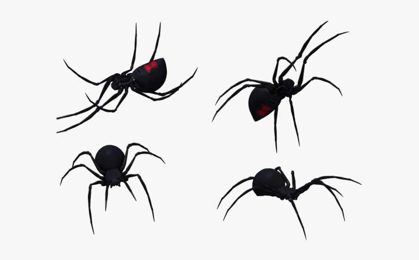 Spider Clipart Black Widow Spider - Black Widow Spider Png, Transparent Png, Free Download