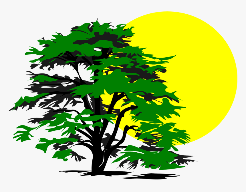 Trees Clipart Black, HD Png Download, Free Download