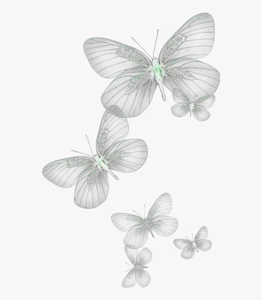 Ftestickers Butterflies Glow Green - Transparent White Butterfly Png, Png Download, Free Download