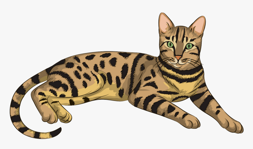 Cat Clip Art Tabby - Cat Clipart, HD Png Download, Free Download