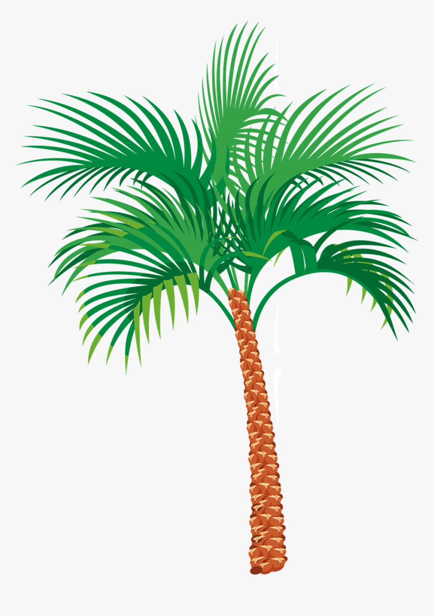 Palm Tree Exotic Vacation Free Picture - Palm Tree Gif Png, Transparent Png, Free Download